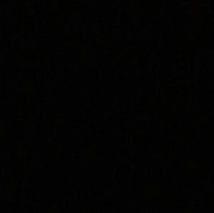 Meet your Posher, Audrey